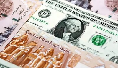 خبير اقتصادي يكشف لـ«الجمهور» روشتة تراجع سعر الدولار مقابل الجنيه