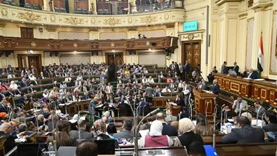 معايير “الهيئة الوطنية للانتخابات” كفيلة بتنظيم العملية الانتخابية لمجلس الشيوخ وضمان العدالة بين المرشحين.