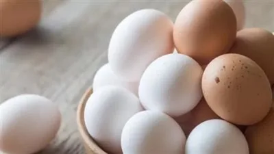 مادة غذائية في البيض تخفض من مخاطر الإصابة بالزهايمر