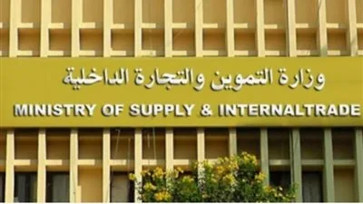 مستشار التموين يكشف عن تفاصيل أول علامة تجارية موحدة لمتاجر “كاري أون”