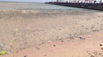 راحت فين؟.. انحسار مياه البحر على شواطئ الغردقة (فيديو)