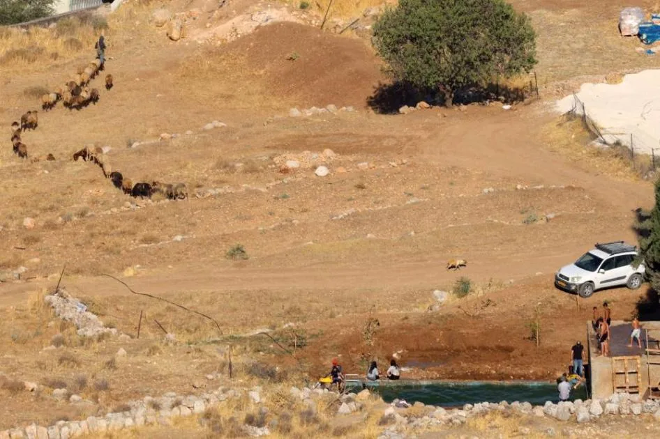 اعتداءات المستوطنين تهدد الفلسطينيين في الضفة الغربية بنقص المياه