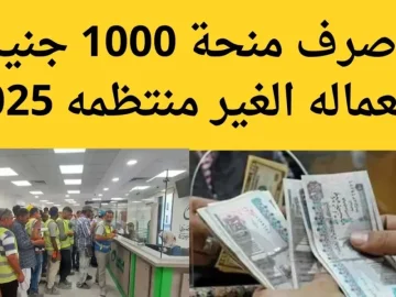 خبر مفرح للمصريين.. رسميا منحة العمالة غير المنتظمة 2025 بقيمة 1500 جنيه – خطوات التسجيل