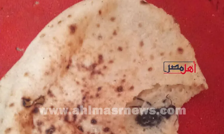 مخبز بقوص: هل الخبز بالحشرات علامة على غياب الرقابة؟