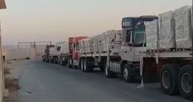 هل هي بداية الأمل؟ دخول 400 شاحنة مساعدات إلى غزة بعد 7 أشهر من الانتظار!