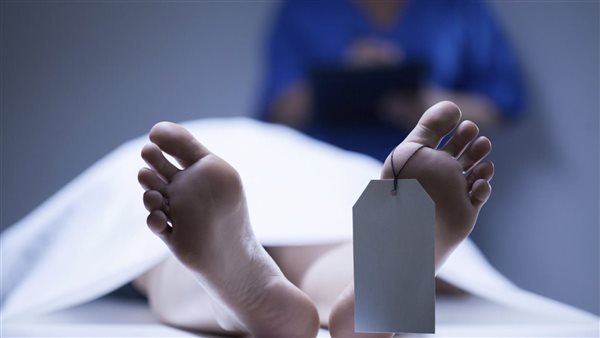 صدمة في الإسكندرية: العثور على جثمان سيدة حامل بالشهر الخامس داخل ملاحات!