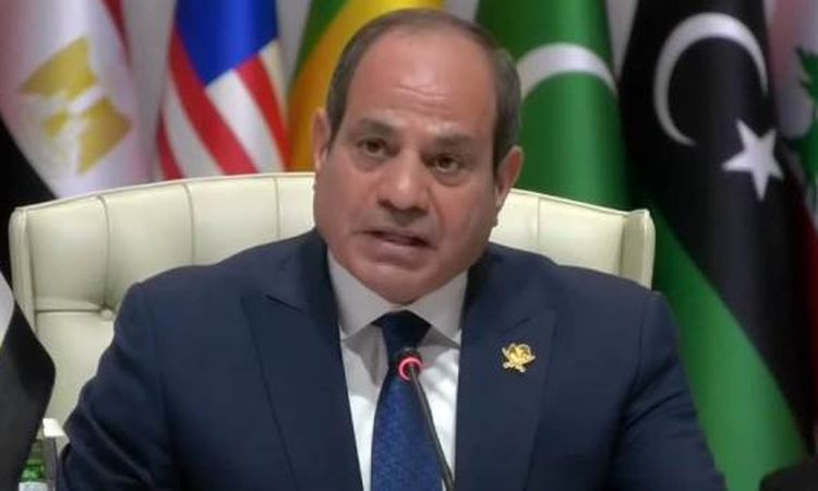 السيسي يستقبل المبعوث الأمريكي للشرق الأوسط: ماذا جرى في اللقاء؟