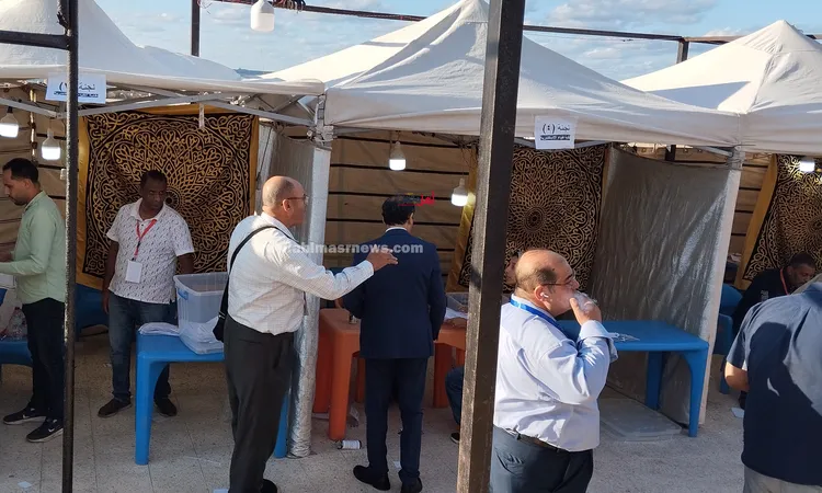 متى تُعلن نتيجة فرز أصوات انتخابات تجديد نقابة أطباء الإسكندرية؟