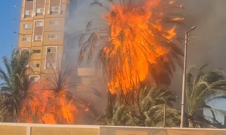 كيف تمت السيطرة على حريق يهدد نخيل قرب محطة سكة حديد قنا؟