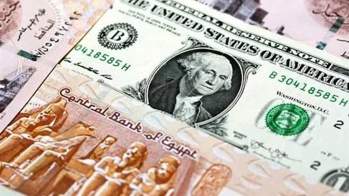 اكتشف سعر الدولار في مكاتب الصرافة اليوم، الأربعاء 8 أكتوبر 2025: هل تسجل الأسعار ارتفاعًا مفاجئًا؟