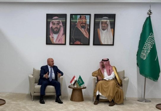 هل تتجه مصر نحو تعزيز الاستثمارات السعودية في قطاعات الألومنيوم والصناعات الكيماوية PVC؟ وزير الصناعة يكشف عن الفرص الواعدة!