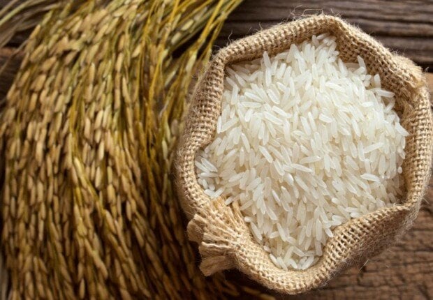 ما هو سعر طن الأرز الشعير اليوم، الإثنين 6 أكتوبر 2025؟ اكتشف أحدث الأسعار في الأسواق!