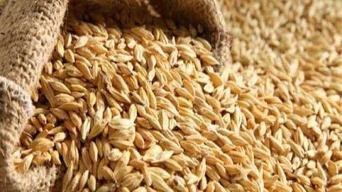 ما هو سعر طن الأرز الشعير في مصر اليوم الثلاثاء 7 أكتوبر 2025؟ اكتشف الأسعار المحدثة هنا!