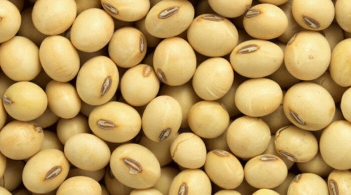 هل سينقلب مصير المزارعين الأمريكيين في حرب التجارة مع الصين؟