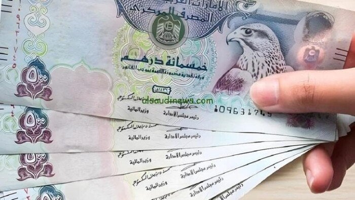 كم يبلغ سعر الدرهم الإماراتي مقابل الجنيه اليوم 11 أكتوبر 2025؟