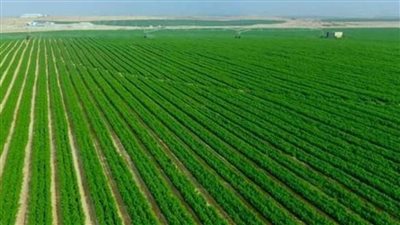 مشروع الدلتا الجديدة من أكبر مشروعات التطوير الزراعي في العالم