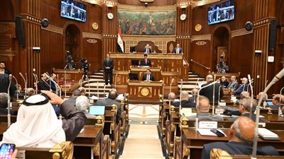 مجلس الشيوخ يطرح حزمة توصيات لتطوير الحماية الاجتماعية ضمن خطة التنمية