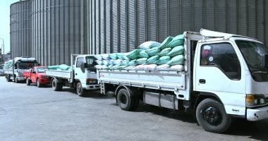 تعاون بين وزارتى الزراعة والتموين لتيسير توريد القمح وصرف المستحقات فى 48 ساعة