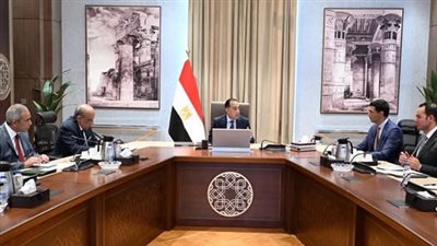رئيس الوزراء يكلف بعرض الصورة النهائية لمبادرة تشجيع تركيب الواح الطاقة الشمسية بالمصانع والمنازل